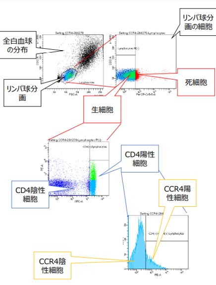 フローサイトメーターで分かること